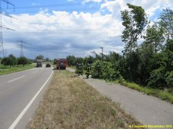20150725 Baum über Straße L566 Nwr 3